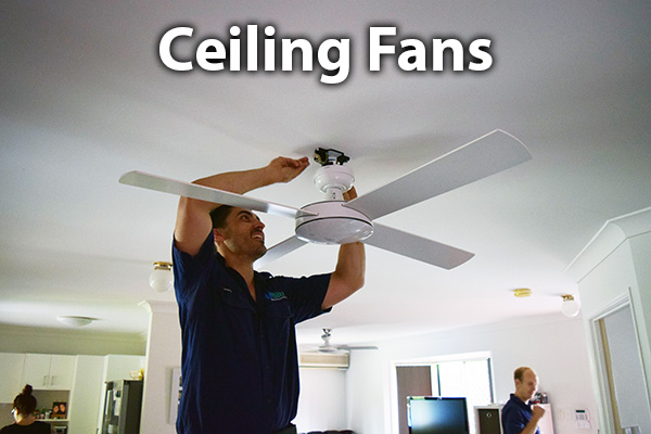 ceiling-fans